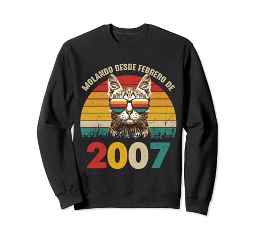 Molando Desde Febrero de 2007 Cumpleaños 17 Años Sudadera