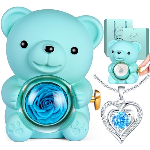 Aloskart Oso Rosa Eterna con Collar, Osito Rosa Eterna Azul, Regalo San Valentin Mujer para Ella,...