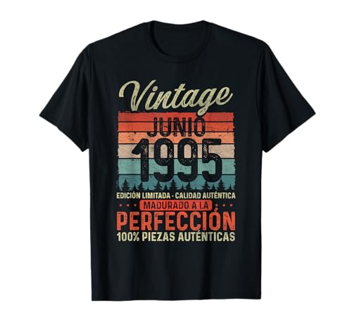 Junio 1995 Vintage Regalo 31 Años Cumpleaños Hombre Camiseta