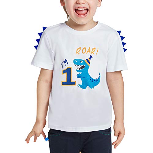 Dinosaurio Camiseta de Cumpleaños - 2do Cumpleaños Suministros para la Fiesta Camisetas de Manga Corta para Bebé Niños Estampada Bordado con Cuello Redondo de 100% Algodón Camiseta Tops