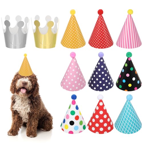 LIQWEI Juego de 11 sombreros de fiesta de cumpleaños, coloridos cumpleaños infantiles, gorros con...